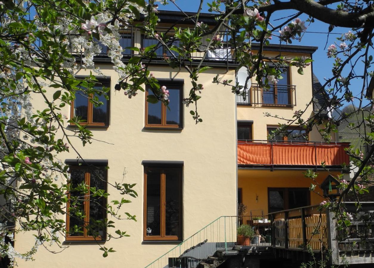 Ferienwohnung Ellebett Müden Extérieur photo